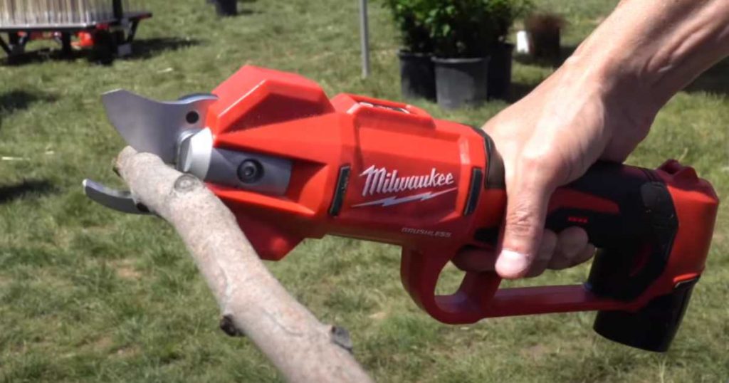 Using an Electric Pruning Shear safely to cut a tree brunch 